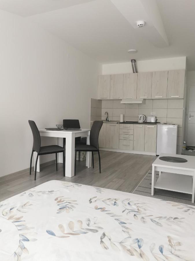 Studio Apartmani Banja Koviljaca Luaran gambar