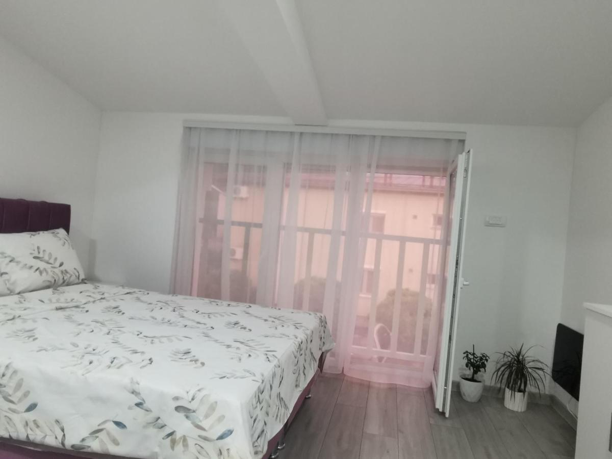 Studio Apartmani Banja Koviljaca Luaran gambar