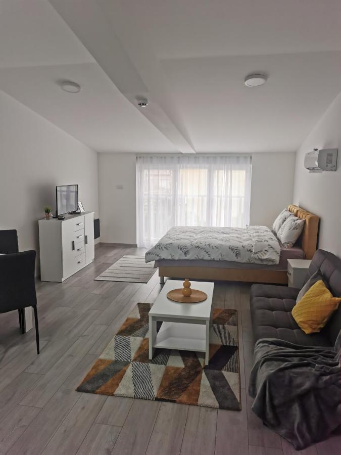 Studio Apartmani Banja Koviljaca Luaran gambar