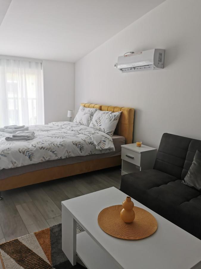 Studio Apartmani Banja Koviljaca Luaran gambar