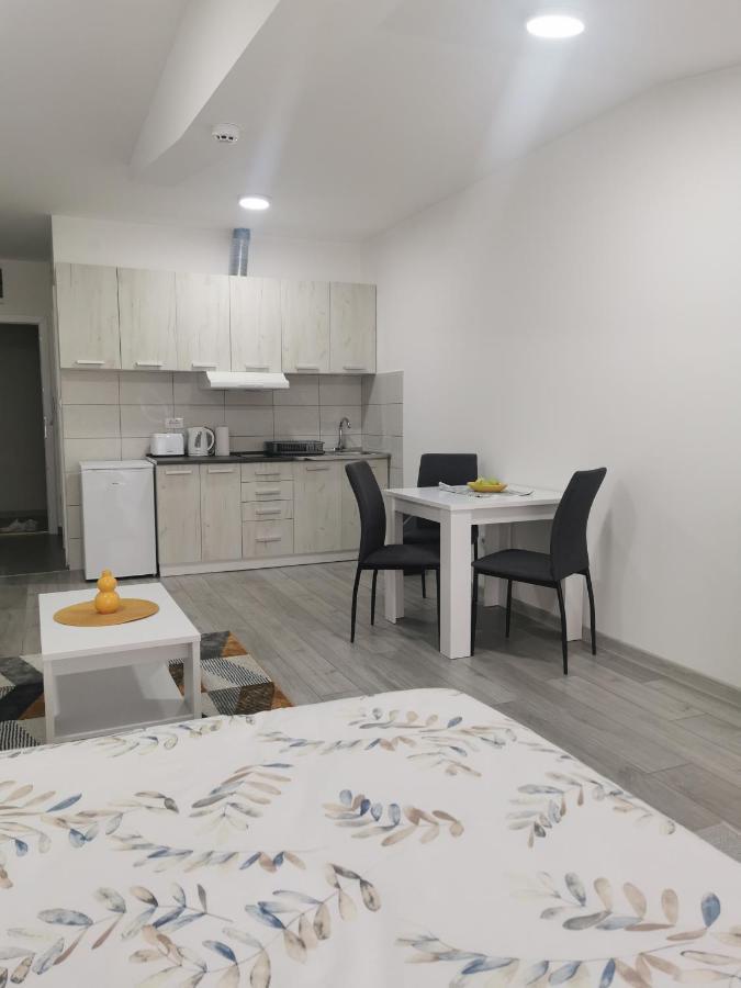 Studio Apartmani Banja Koviljaca Luaran gambar