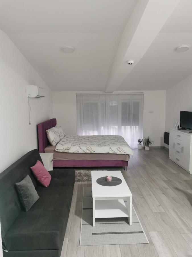 Studio Apartmani Banja Koviljaca Luaran gambar