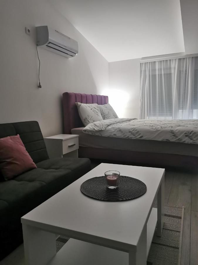 Studio Apartmani Banja Koviljaca Luaran gambar