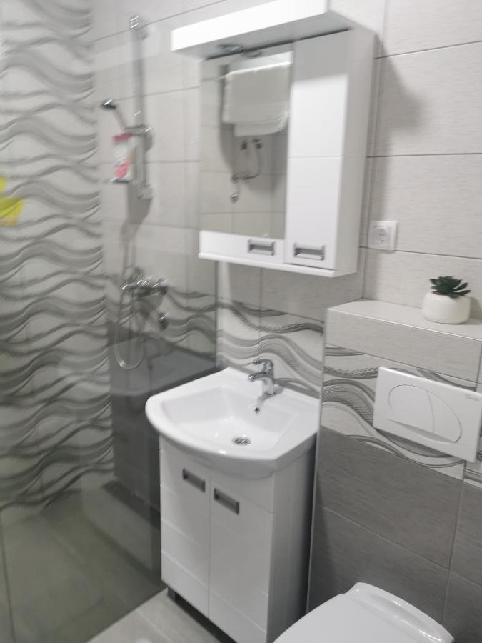 Studio Apartmani Banja Koviljaca Luaran gambar