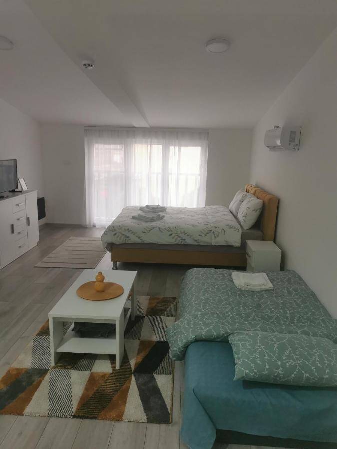 Studio Apartmani Banja Koviljaca Luaran gambar