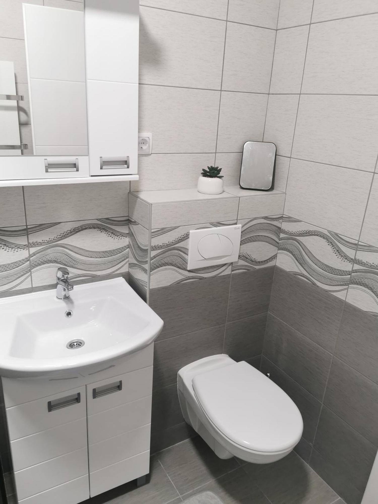 Studio Apartmani Banja Koviljaca Luaran gambar