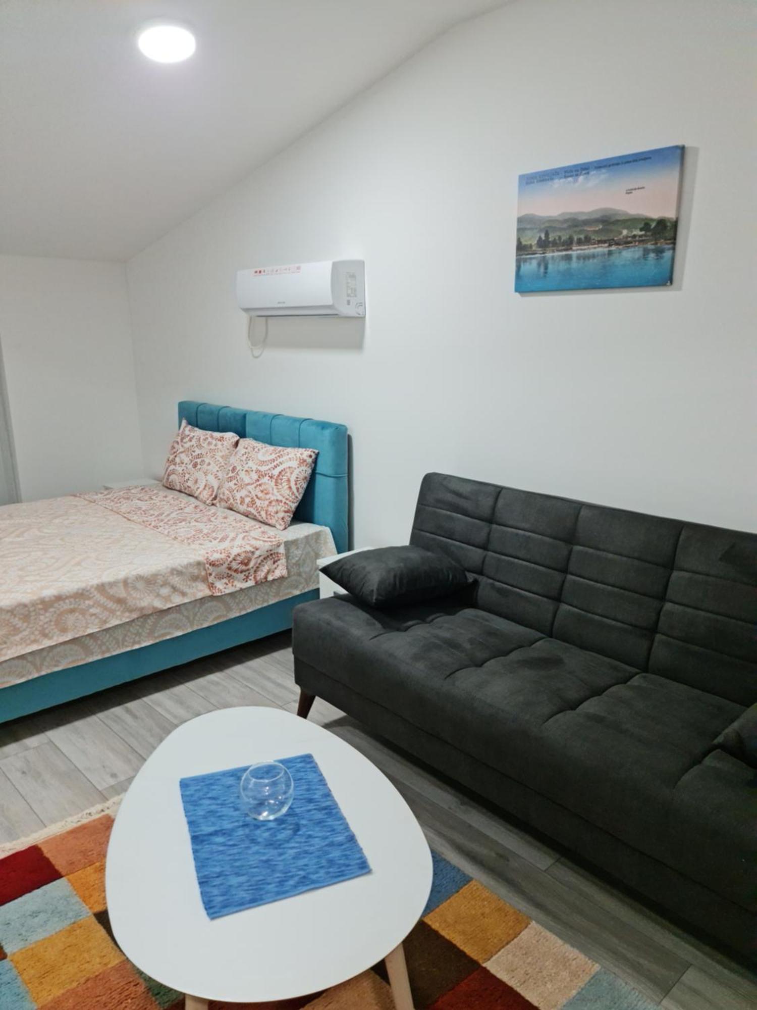 Studio Apartmani Banja Koviljaca Bilik gambar