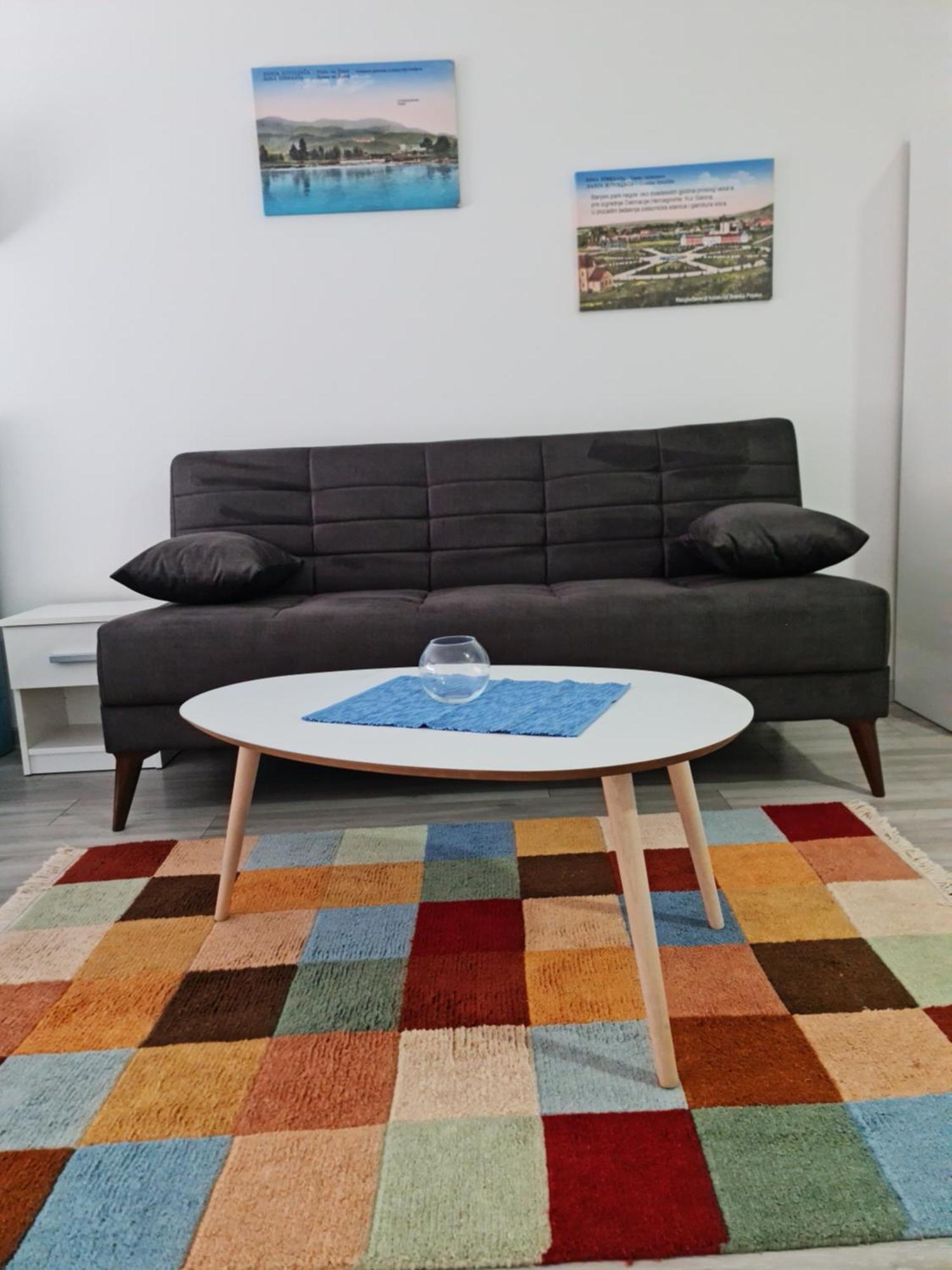 Studio Apartmani Banja Koviljaca Bilik gambar
